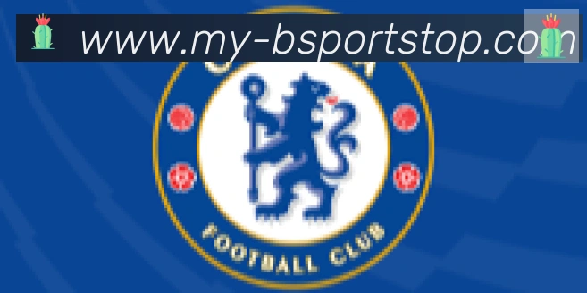 Bsports官网合作伙伴